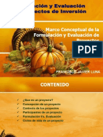 FORMULACION DE PROYECTOS -01
