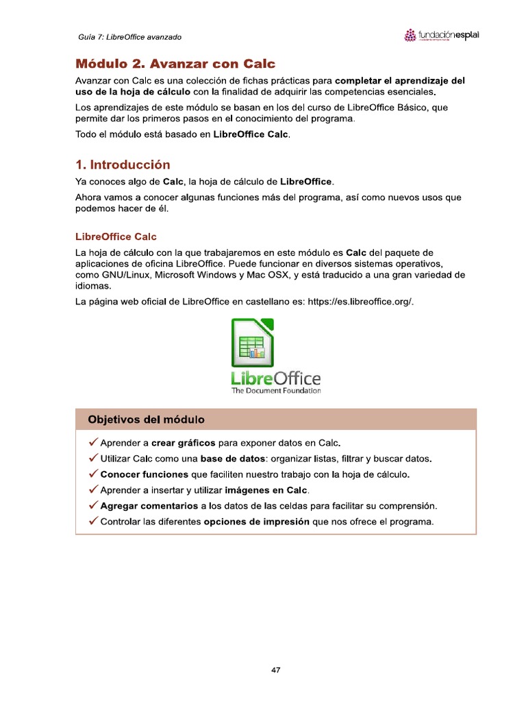 Manual Libreoffice Calc PDF