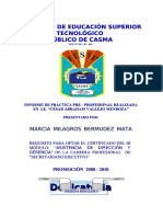 PDF Informe Practica Preprofesional Compress