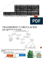 4 Practica Transporte y Circulación en Seres Vivos-Fitohormonas-Sistema Endocrino