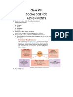 Class VIII social science assignments