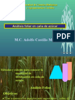 Análisis Foliar Mod Caña