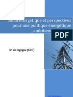 Bilan Et Perspectives Energetiques Au Niger - Par CrideCigogne