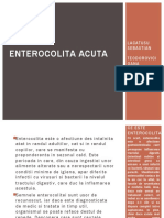 Enterocolita Acuta