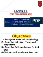 2 - Cell Membrane PDF