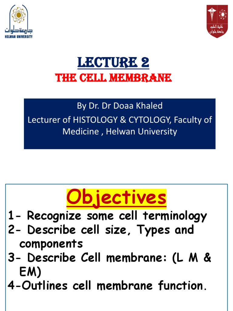 2 - Cell Membrane PDF | PDF | Cell Membrane | Biological Membrane