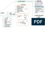 Mapa Conceptual Macronutrientes