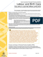 Labour+and+Birth.+Routine+care+in+normal+labour+ Birth PPG V1 1