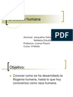 filogenia_humana