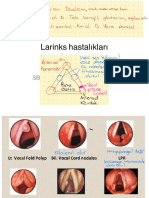 Larinks Ve Işitme Hastalıkları 1