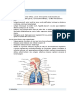 TEMA 1 - Transtorns Respiratoris