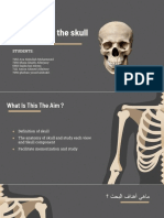 Anatomy of the Skull