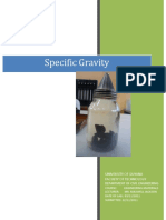 CIV LAB 6 - Specific Gravity