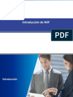 Seccion 1 - Introduccion - NIIF General y NIIF PYMES