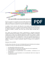 Por Qué El SMS Es Tan Importante Dentro de La Aviación