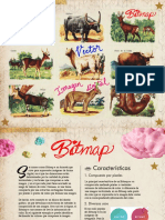 Bitmap - Imagen Digital