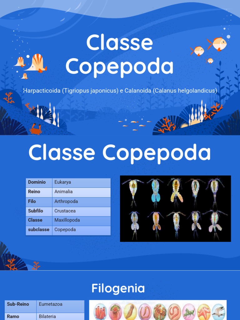 Classe Copepoda | PDF