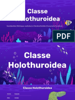 Classe Holothuroidea