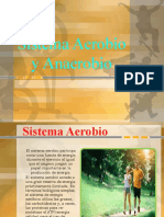 Sistema Aerobio y Anaerobio