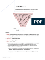 Sistema natural y clasificación taxonómica de los animales