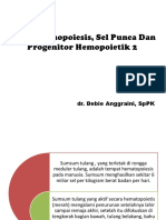 (DR - Debie) Proses Hemopoiesis, Sel Punca Dan Progenitor Hemopoietik2