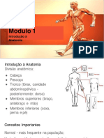 M1A01 - Introdução à anatomia