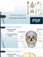 M1A03 - Osteologia 2