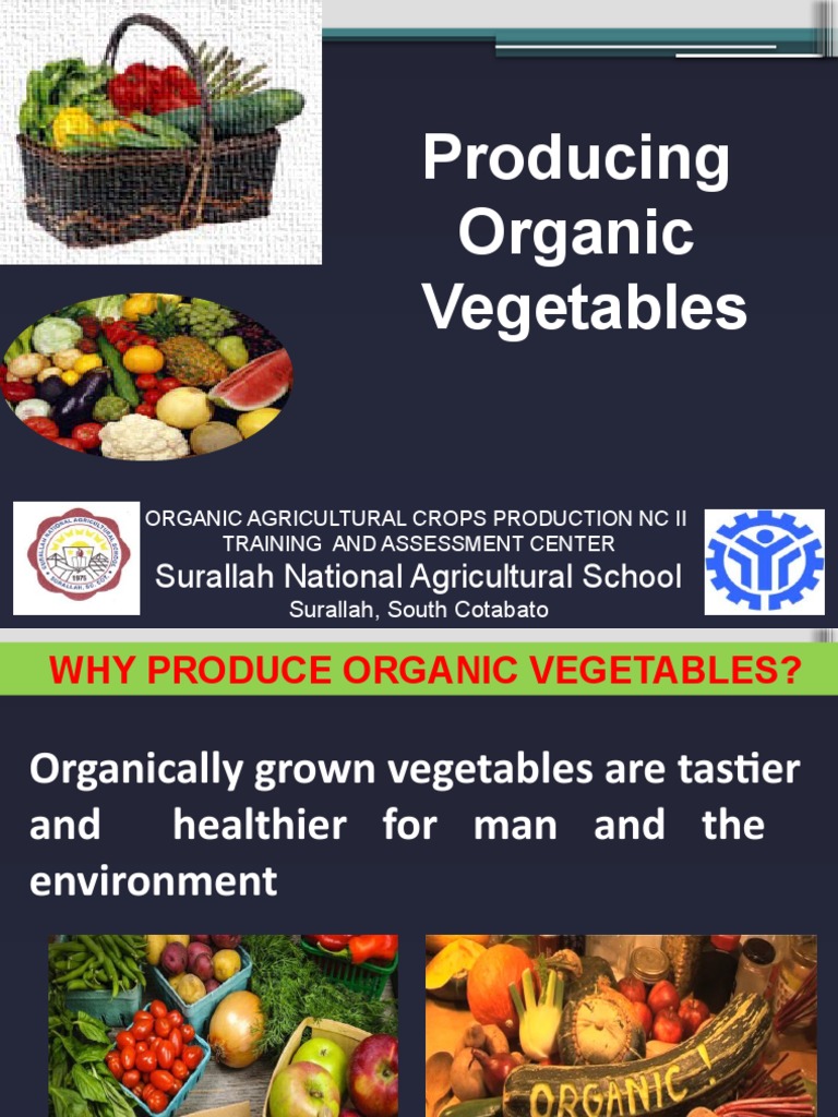 Organic Vegetable Production Guide | PDF | Crop Rotation | Agriculture