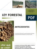 Ley Forestal