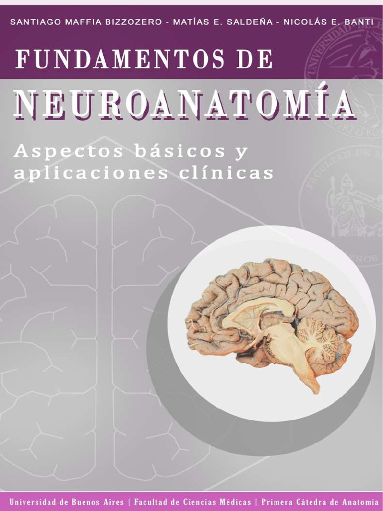 Fundamentos de Neuroanatomia | PDF | Política | Autosuperación