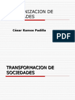 013 Reorganizacion-Sociedades