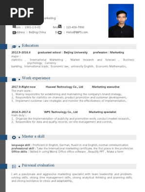 Universal & Simple Resume-WPS Office