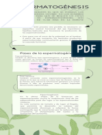 Verde Orgánico Natural Fotosíntesis Biología Infografía