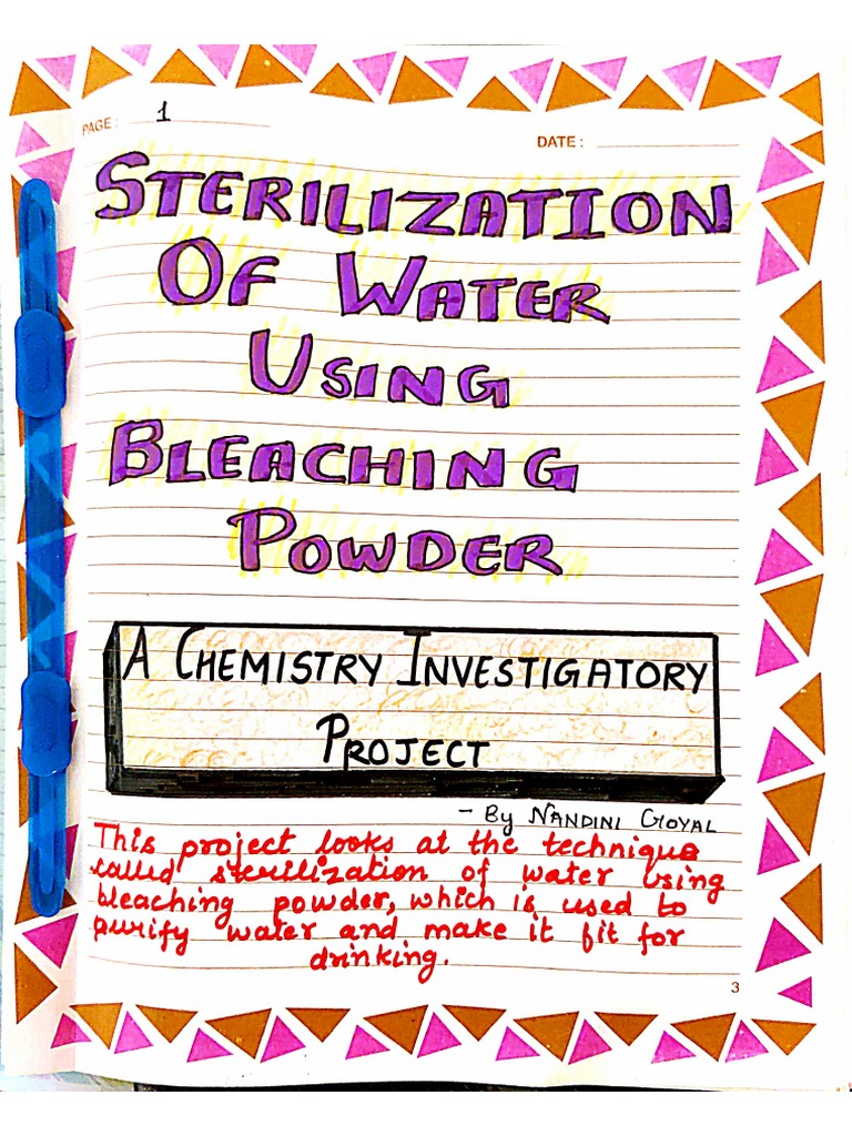 Format of Project Work | PDF