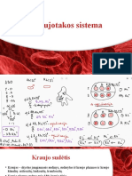 Kraujotakos-Sistema 12kl