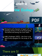 Marine Ecology Document Summary