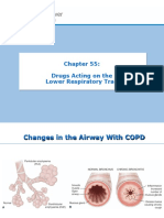 Chapter 55 Drugs Acting On The Lower Respiratory Tract