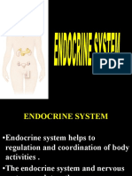 Endocrine System