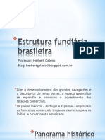 A concentração fundiária no Brasil e o surgimento do MST