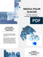 Mediul Polar Glaciar de Pe Pământ