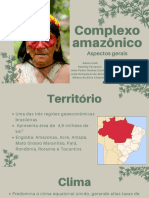 Complexo Amazonico