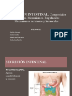 Secreción Intestinal