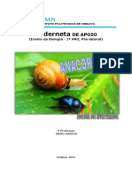 Anacordados (Int.) - Zoologia Dos Invertebrados (Prof. Mimo Garcia)