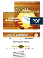 DNA e RNA: estrutura e composição