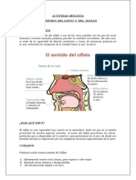 Biologia Gusto Olfato