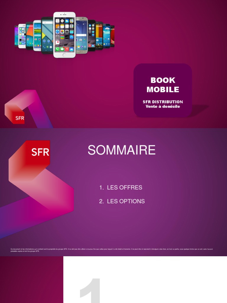 Offres et Options SFR Mobile | PDF | Informatique | Logiciel