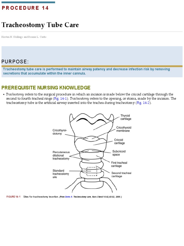 Tracheostomy Tube Care PDF Intensive Care Medicine Respiration