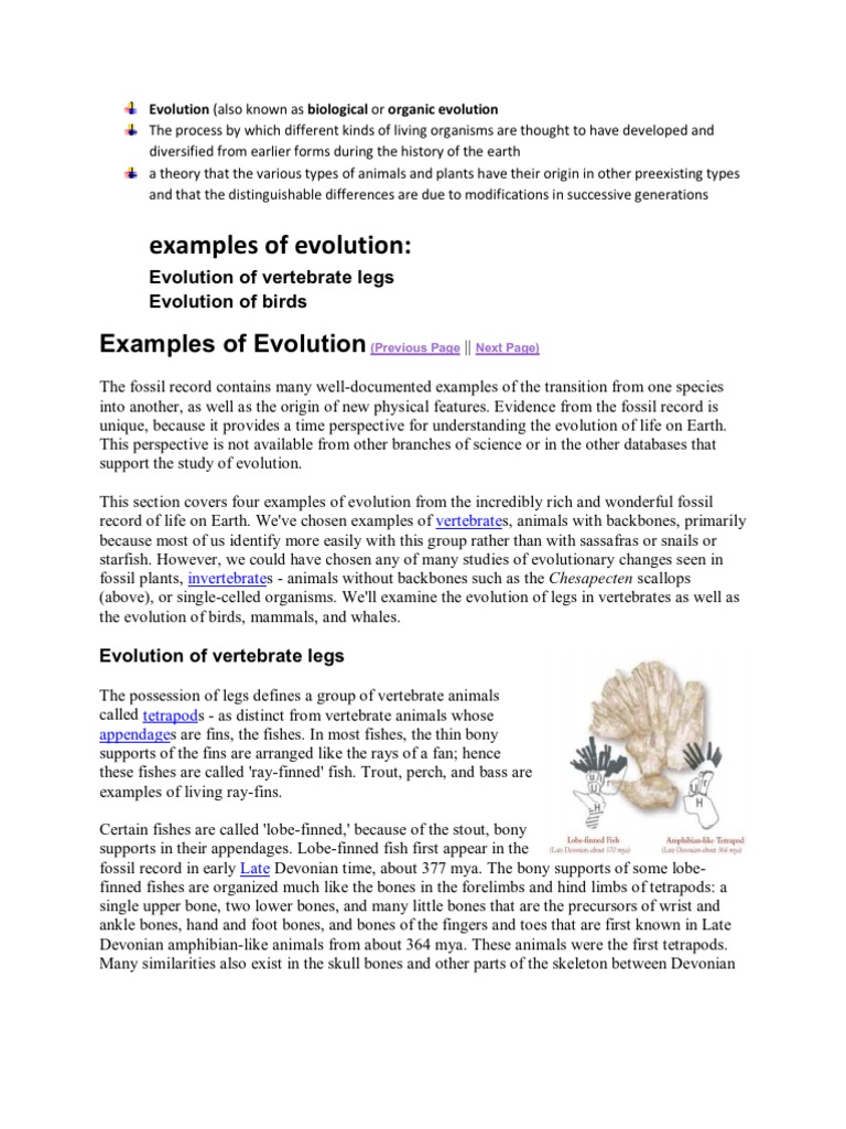 Evolution | PDF | Social Science