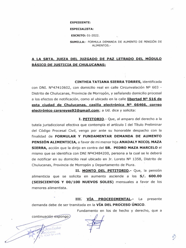 Demanda de Aumento de Alimentos | PDF