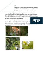 Fauna e Flora em Portugal: Espécies em risco e ameaças à biodiversidade
